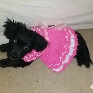 Meet your Posher, Beatriz